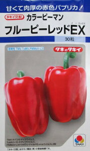 s[}@^LCzt[s[bhEX@@^LCc̃J[s[}iłB@̂ƂȂ炨CO[f|