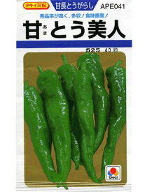 楽天市場 青唐辛子 苗の通販 楽天市場 青唐辛子 苗の通販