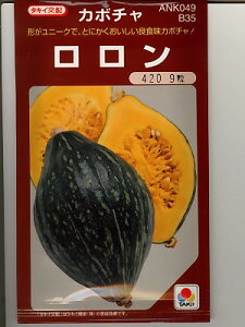かぼちゃ Diy 工具の通販 価格比較 価格 Com