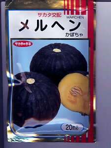 TJ^z@w@TJ^̃^l̃J{`̕iłB@̂ƂȂ炨CO[f|