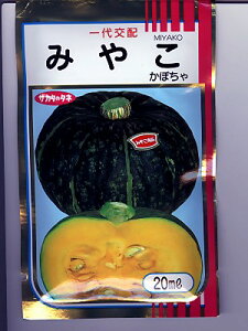 カボチャ種 サカタ交配・・・みやこ・・・<サカタのカボチャです。 種のことならお任せグリーンデポ>