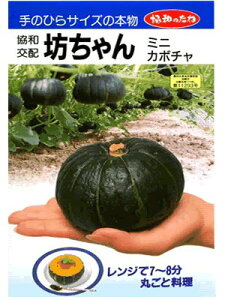 ^Z@V@o^i@݂ǋã~jJ{`iłB