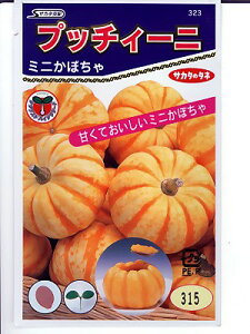 J{`@TJ^z@vb`B[j@TJ^̃^l~jJ{`iłB@̂ƂȂ炨CO[f|