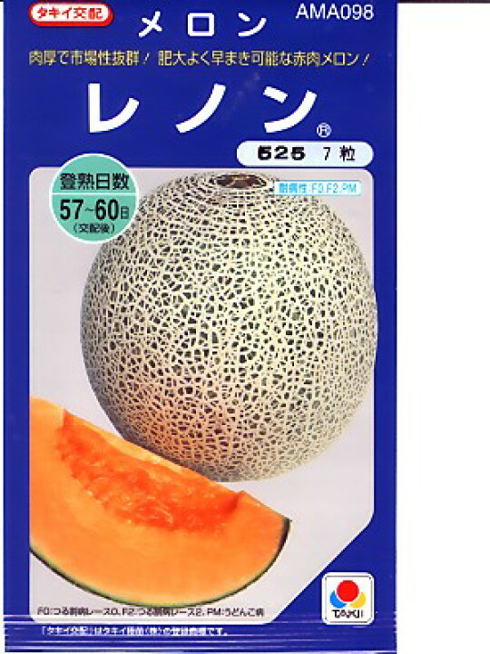 楽天市場 メロン種 タキイ交配 レノン タキイ種苗のネットメロン品種です 種のことならお任せグリーンデポ ｇｒｅｅｎ ｄｅｐｏｔ