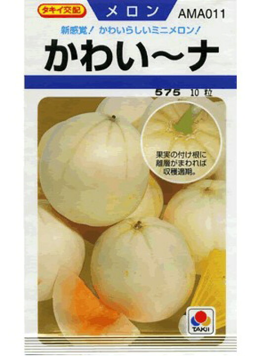 メロン みかど交配 エリザベス２３９ みかどの黄色皮メロンです 種のことならお任せグリーンデポ 海外