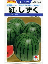 楽天市場 小玉スイカ 品種 収穫時期春 の通販 楽天市場 小玉スイカ 品種 収穫時期春 の通販