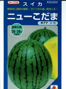 XCJXCJ̎@^LCzEEEj[܁EEE^LC̏ʃXCJiłB@̂ƂȂ炨CO[f|