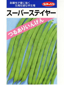 楽天市場 ありなのたねの通販