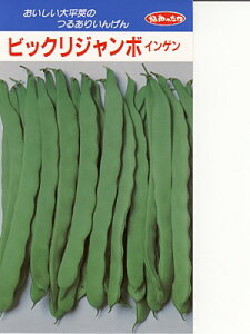 CQ@rbNW{ ݂ǋâ邠CQiłB@̂ƂȂ炨CO[f|