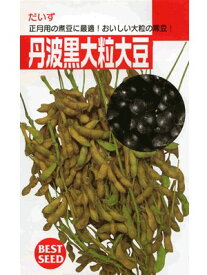 エダマメ　タキイ　丹波黒大粒大豆　タキイ種苗の黒豆です。
