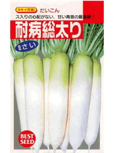 _CR@^LCzEEEϕaEEE^LC̃_CRłB@̂ƂȂ炨CO[f|