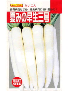 _CR@^LCzEEEĂ݂̑OEEE^LC̔_CRłB@̂ƂȂ炨CO[f|