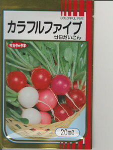 \_CR@TJ^@Jtt@Cu@TJ^̃^l̓\_CR~bNXłB