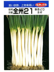 �l�M�@���a��z�E�E�E�S�B21�E�E�E�����a�̃l�M�ł��B��̂��ƂȂ炨�C���O���[���f�|��