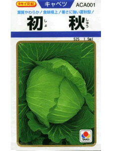 Lxc@^LCz@H@^LCc̃LxcłB@̂ƂȂ炨CO[f|