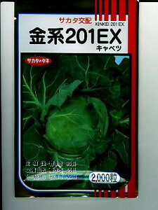 Lxc@TJ^zEEEn201EXEEETJ^̃LxcłB@̂ƂȂ炨CO[f|