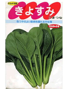 R}ci@TJ^z@悷݁@TJ^̃^l̏؂łB