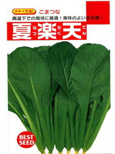 R}ci@^LCz@ĊyV@^LCc̏؂łB