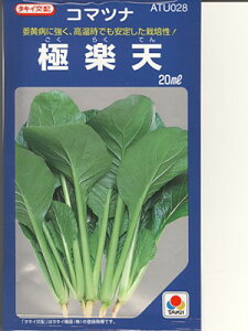 R}ci@^LCz@ɊyV@^LCc̏؂łB