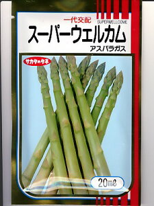 AXpKX@TJ^zEEEX[p[EFJEEETJ^̃AXpłB@̂ƂȂ炨CO[f|