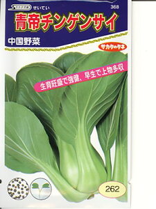 `QTC@TJ^zEEEEEETJ^̃`QTCłB̂ƂȂ炨CO[f|