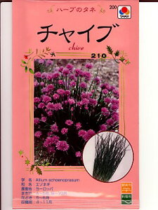 n[u@^LCEEE`CuEEE^LC̃n[ułB@̂ƂȂ炨CO[f|