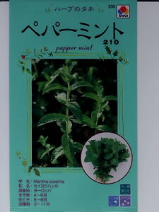 n[u@^LCEEEyp[~gEEE^LC̃n[uqłB@̂ƂȂ炨CO[f|