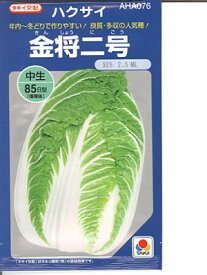 白菜種　タキイ交配・・・金将二号・・・＜タキイの白菜です。　種のことならお任せグリーンデポ＞