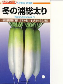 大根種　カネコ交配・・・冬の浦総太り・・・＜カネコの大根です。種のことならお任せグリーンデポ＞