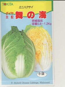 nNTC̎@_CzEEE̊CEEEgL^̔؂łB̂ƂȂ炨CO[f|