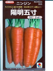 jW̎@^LCz zܐ ^LCc̃jWłB̂ƂȂ炨CO[f|