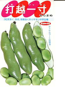 \}@TJ^̃^l@ŉzꐡ@TJ^̃^l̃\}łB