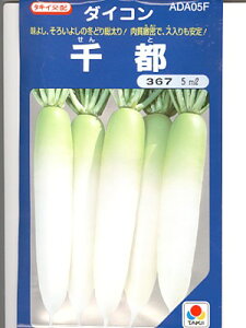 卪̎@^LCzEEEsEEE^LC̑卪łB̂ƂȂ炨CO[f|