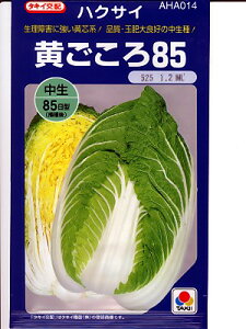 nNTC̎@^LCz@85