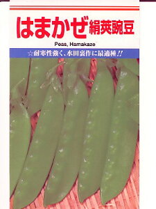 GhE@JlRc@͂܂氓@ JlR̃GhEłB