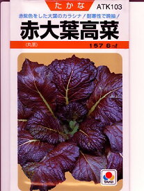 楽天市場 高菜 種の通販