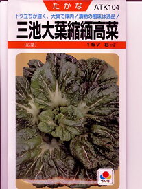 高菜　タキイ　三池大葉縮緬高菜　＜タキイの高菜です。種のことならお任せグリーンデポ＞