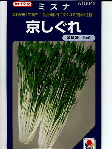 ~Yi@^LCzEEEEE^LC̃~YiłB̂ƂȂ炨CO[f|