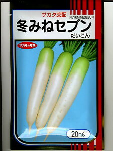 卪@TJ^zEEE~݂˃ZuEEETJ^̑卪łB̂ƂȂ炨CO[f|