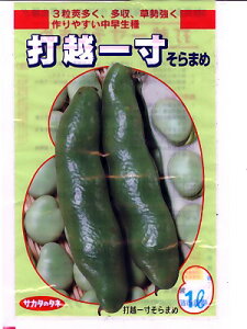 \}@TJ^̃^l@ŉzꐡ@TJ^̃^l̂瓤@1L