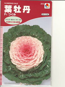 tO̎@^LCz@
