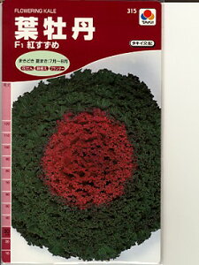 tO@^LC̎EEEg߁EEE^LC̗tOłB̂ƂȂ炨CO[f|