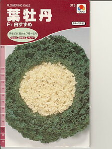 tO̎@^LCzEEE߁EEE^LC̗tOłB̂ƂȂ炨CO[f|