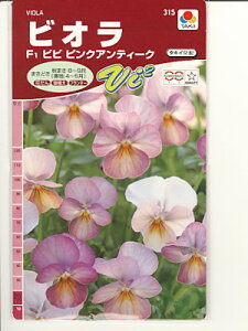 rI@^LCz@F1rrsNAeB[N@^LCc̃rIqłB̂ƂȂ炨CO[f|