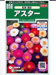 AX^[q@TJ^̃^lEEEAX^[{EEETJ^̃AX^[qłB^l̂ƂȂO[f|