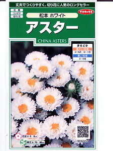 AX^[̎@TJ^̃^l@{zCg@TJ^̃^l̃AX^[qłB̂ƂȂO[f|