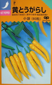 ςƂ炵@Ƃ炵@̎̂Ƃ炵