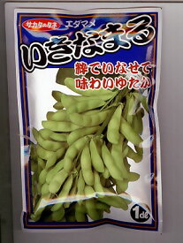 枝豆種　サカタ育成　いきなまるエダマメ　登録品種　サカタのタネの枝豆品種です。種の通販はグリーンデポ