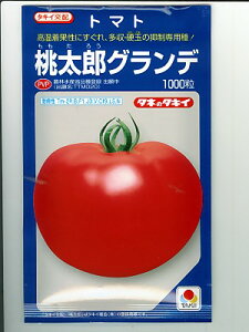 ^LCz@YOf@^LCc̃g}giłB̒ʔ̂ȂO[f|