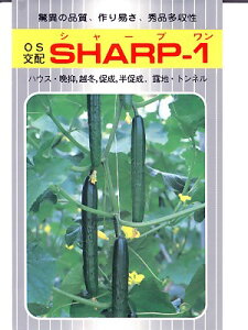 LE̎@OSzEEESHARP|1EEEʌ琬̃LEqłB̂ƂȂ炨CO[f|